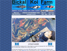 Tablet Screenshot of bickal.com